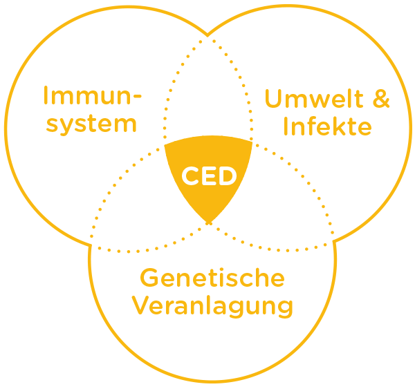 Morbus Crohn - Ursachen